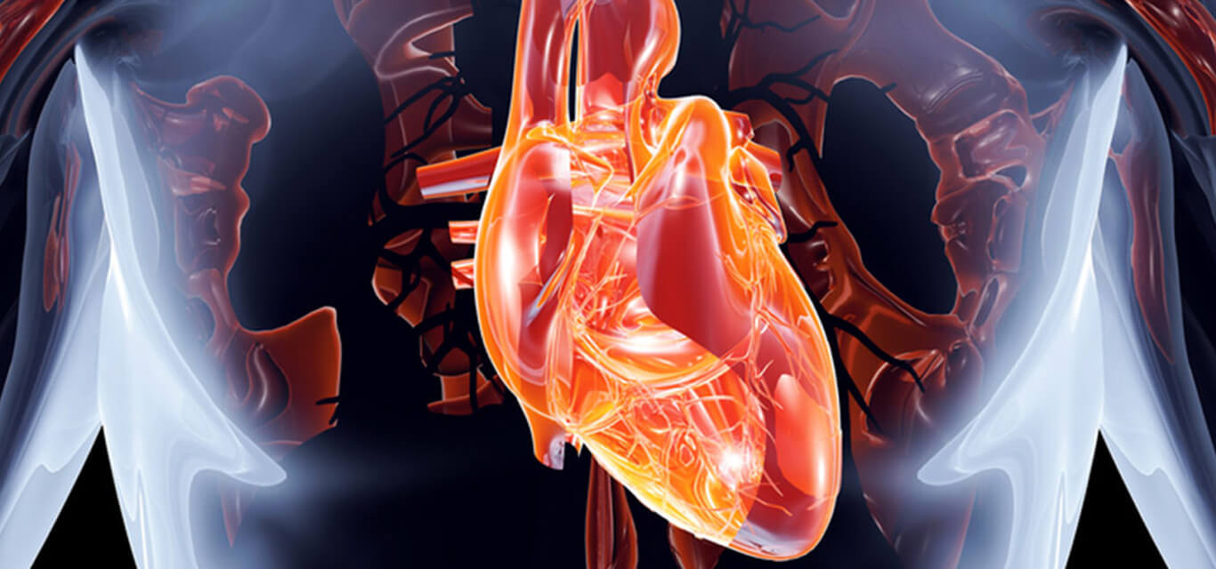 Clinical Trails and Experimental Cardiology