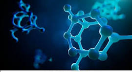 Bio-polymers and Polymer Chemistry