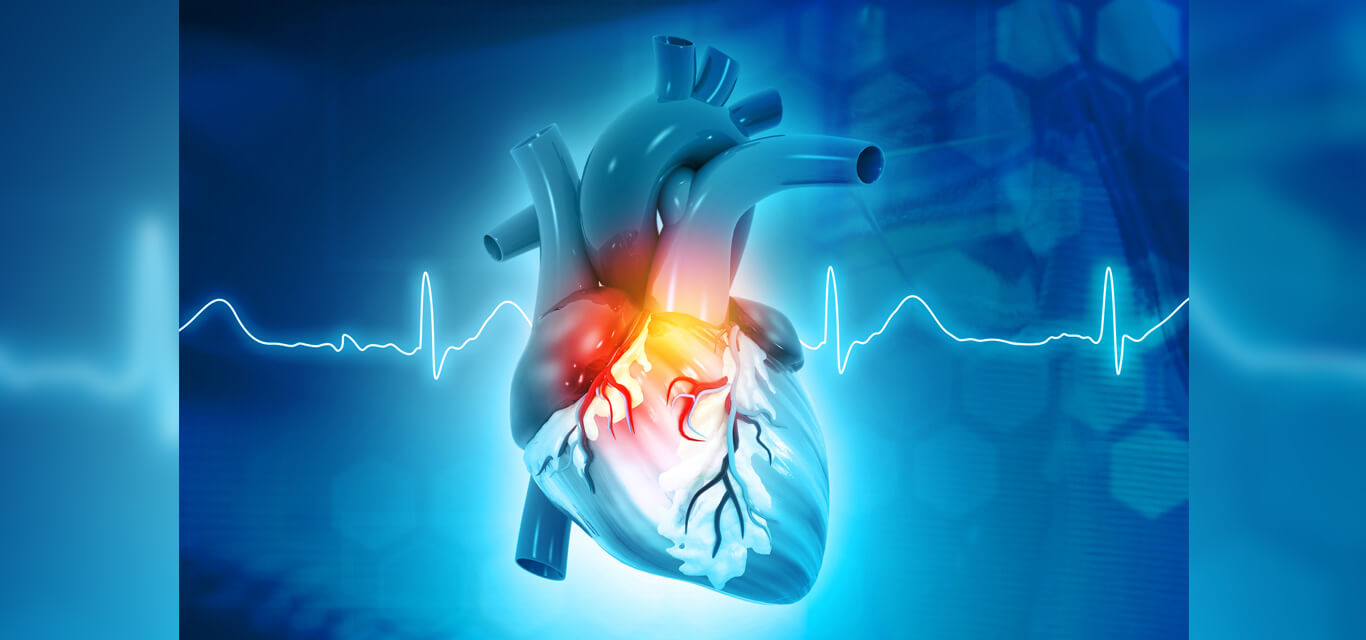  Advances in Cardiology