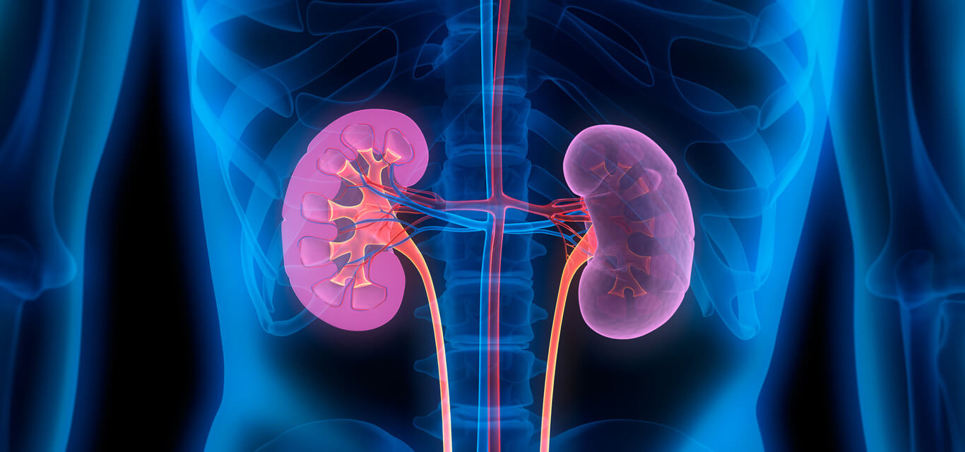 Nephrology 