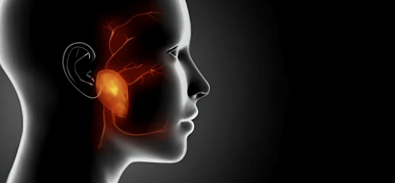 Otology, Rhinology and Laryngology 