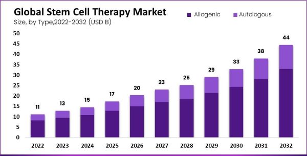 Stem cells